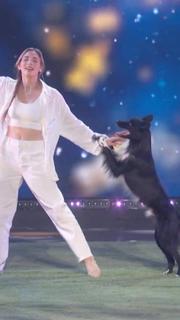 This dancing dog stole the show